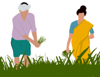 image_2024_09_23T05_24_43_760Z